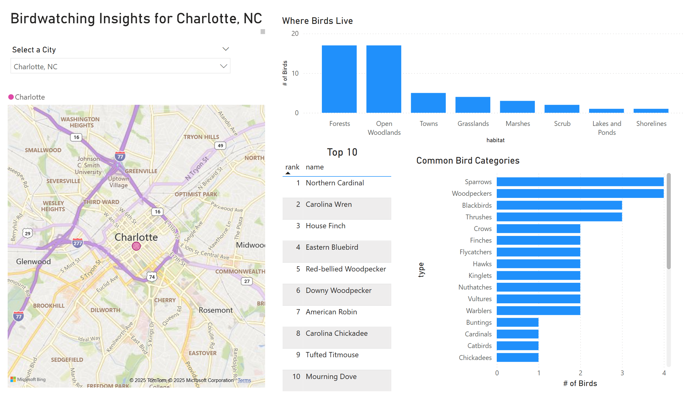 Birding Dashboard Preview